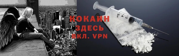 дживик Абинск
