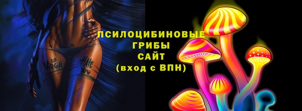 крисы Абдулино