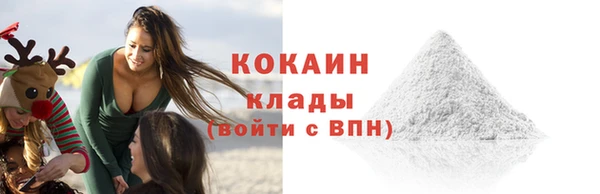дживик Абинск