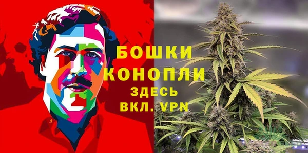 крисы Абдулино