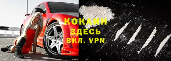 дживик Абинск